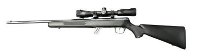 SAVAGE ARMS Mark II .22 LR