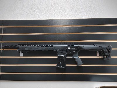 PANZER ARMS AR TWELVE 12 GA