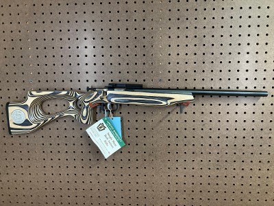 KEYSTONE SPORTING ARMS Cricket .22 LR