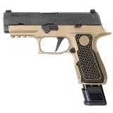 SIG SAUER P320 GRAYGUNS 9MM LUGER (9X19 PARA) - 1 of 2