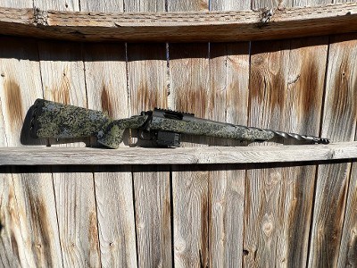 HORIZON FIREARMS Horizon .22 CREEDMOOR