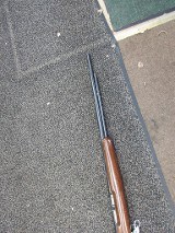 REMINGTON 550-1 .22 S/L/LR - 3 of 3