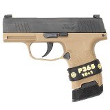 SIG SAUER P365 9MM LUGER (9X19 PARA)