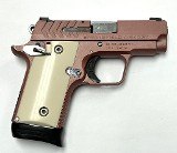 SPRINGFIELD ARMORY 911 .380 ACP - 2 of 3