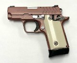 SPRINGFIELD ARMORY 911 .380 ACP - 3 of 3