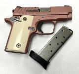 SPRINGFIELD ARMORY 911 .380 ACP