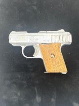 RAVEN ARMS P-25 .25 ACP