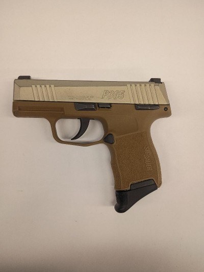 SIG SAUER P365 9MM LUGER (9x19 PARA)