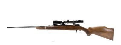 SAVAGE ARMS Model 110 .22-250 REM