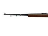 MARLIN 60 .22 LR - 3 of 3