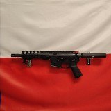 PALMETTO STATE ARMORY PA-15 .300 AAC BLACKOUT