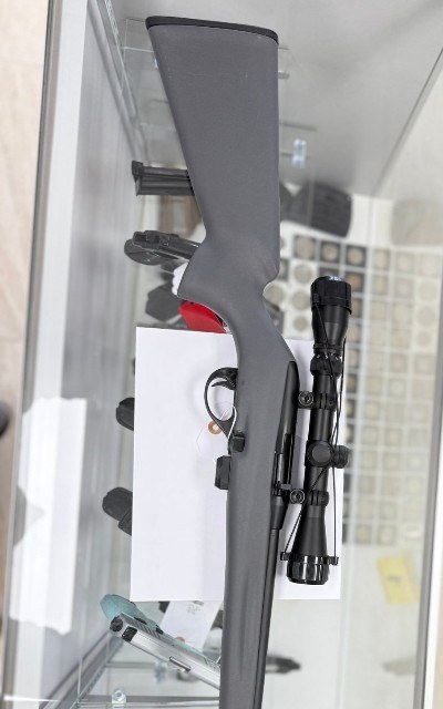 REMINGTON 597 .22 LR