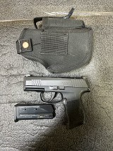 SIG SAUER P365-380 .380 ACP