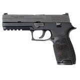 SIG SAUER P250 .45 ACP