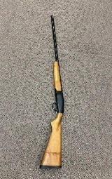 MONTGOMERY WARD HAWTHORNE 110 12 GA