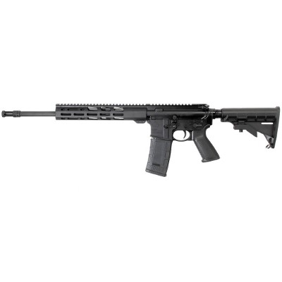 RUGER AR-556 .300 AAC BLACKOUT
