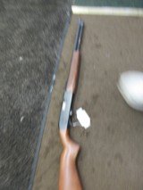 SEARS & ROEBUCK 3T .22 S/L/LR - 3 of 3