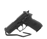 SIG SAUER P229 .357 SIG