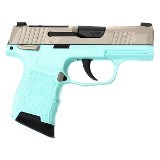 SIG SAUER P365-380 .380 ACP - 2 of 3