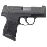 SIG SAUER P365 9MM LUGER (9X19 PARA) - 2 of 3