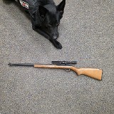 MARLIN GLENFIELD MODEL 60 .22 LR - 2 of 2