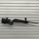 RUGER 10/22 Carbine .22 LR