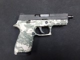 SIG SAUER P250 9MM LUGER (9x19 PARA) - 1 of 2