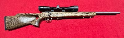 SAVAGE ARMS 93R17 .17 HMR