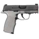 SIG SAUER P365 9MM LUGER (9X19 PARA) - 2 of 3