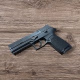 SIG SAUER P250 9MM LUGER (9x19 PARA)