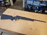 SAVAGE ARMS A17 HM2 .17 HM2