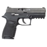 SIG SAUER P250 9MM LUGER (9X19 PARA) - 2 of 3