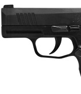 SIG SAUER P365 9MM LUGER (9x19 PARA) - 3 of 3