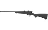 SAVAGE RASCAL FV-SR .22 LR - 1 of 1