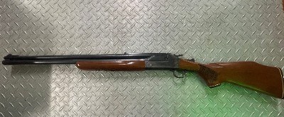 SAVAGE ARMS series d .222 REM/20 GA