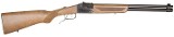 CHIAPPA FIREARMS DOUBLE BADGER 20 GA/.22 LR - 1 of 1