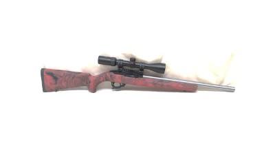 RUGER 10/22 .22 LR