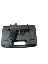SIG SAUER P365 .380 ACP