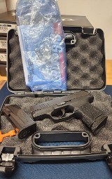 SIG SAUER P365 OPTIC READY 9MM LUGER (9X19 PARA)