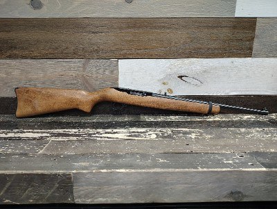 RUGER 10/22 .22 LR