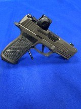 SIG SAUER P365 AXG 9MM LUGER (9X19 PARA) - 1 of 3