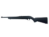 RUGER 10/22COMPACT .22 LR - 1 of 3