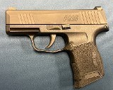 SIG SAUER P365 9MM LUGER (9x19 PARA) - 1 of 2
