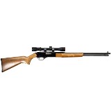 WINCHESTER MODEL 190 .22 LR - 2 of 3