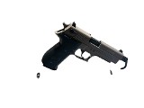 GSG GERMAN SPORTS GUNS FIREFLY .22 LR - 1 of 3