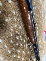 REMINGTON 550-1 .22 LR - 3 of 3
