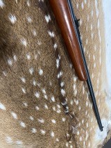 REMINGTON 514 .22 LR - 3 of 3