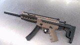 FIREARMS INTERNATIONAL CORP. GSG-16 .22 LR - 1 of 1