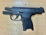 SIG SAUER P365 9MM LUGER (9x19 PARA) - 2 of 3