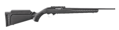RUGER 10/22 CARBINE.22 LR